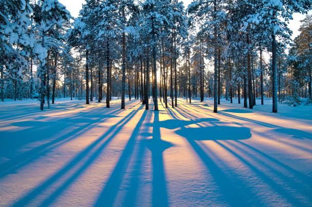 [41+] Winter Sunrise Desktop Wallpaper 