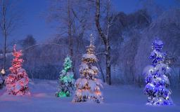 Free Australian Christmas Desktop Wallpaper