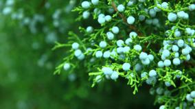 Free Beautiful Wallpapers For Desktop