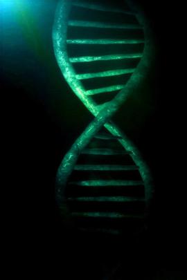 HD DNA Wallpaper -