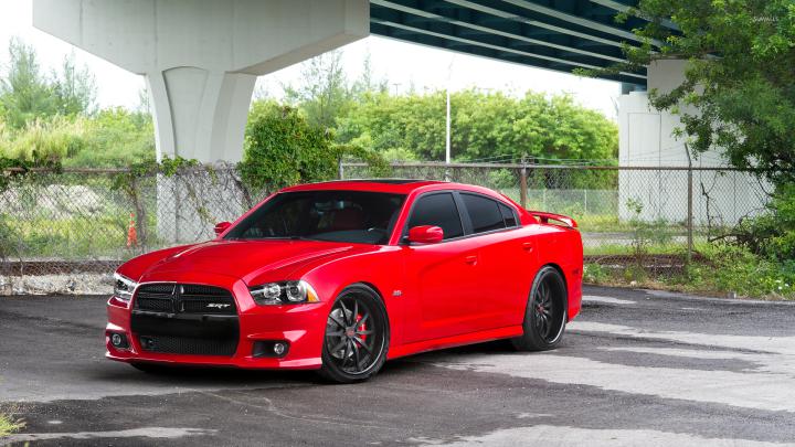 Dodge Charger [2] wallpaper - Car wallpapers - #32648