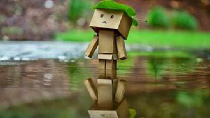 Free download Danbo Domo Wallpaper Cute 11072 Wallpaper Cool 