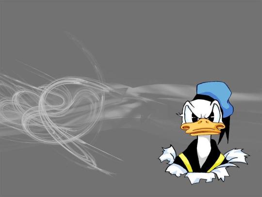 Donald Duck Wallpaper 1920X1080 - Hd Wallpaper Donald Duck Freddy 