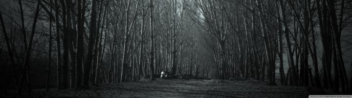 3200 X 900 Dual Monitor Wallpaper | Wallpaper Cave
