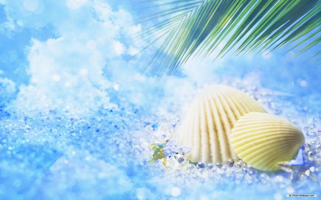Free download Desktop Wallpaper Summer HD Wallpapers [1680x1050] for 