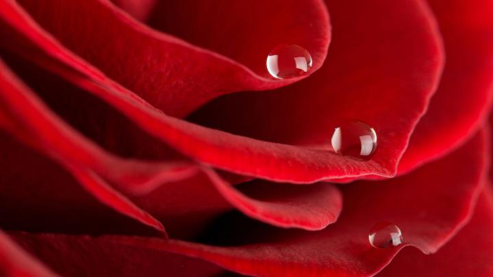 Beautiful Wallpapers for Desktop Full Screen (55+ images)