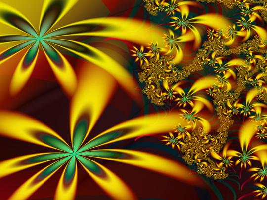 Floral Design Computer Digital Art Design Illustration Desktop 