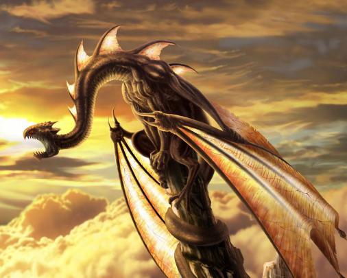 29+ Dragon Wallpapers, Backgrounds, Images, Pictures | Design Trends 