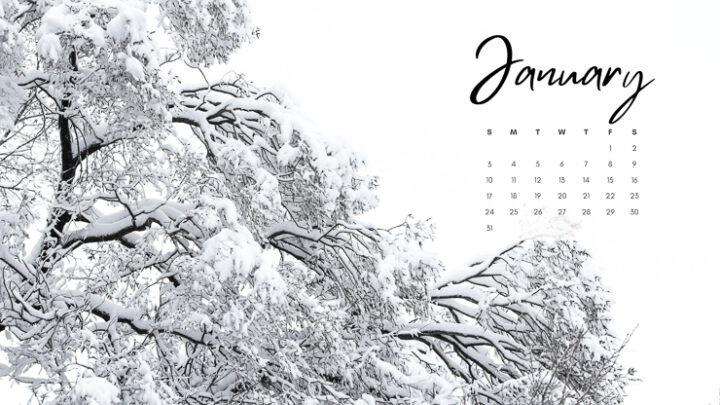 9 Gorgeous Free January 2021 Desktop Backgrounds