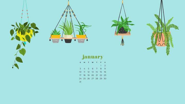 January 2021 calendar wallpapers \u2013 30 FREE designs to choose from!