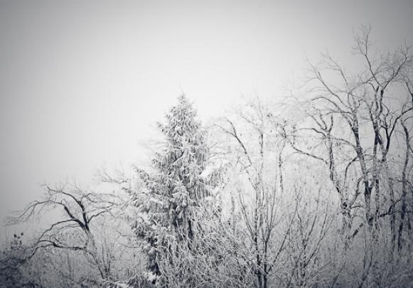 Download Free Desktop Wallpapers: January Wallpapers for Desktop Background