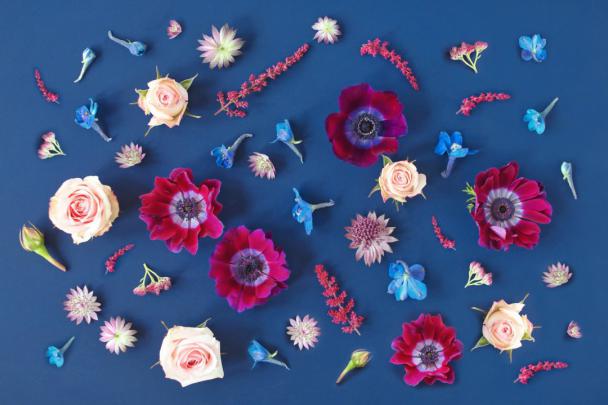 DIGITAL BLOOMS JANUARY 2020 | FREE DESKTOP WALLPAPER - JustineCelina