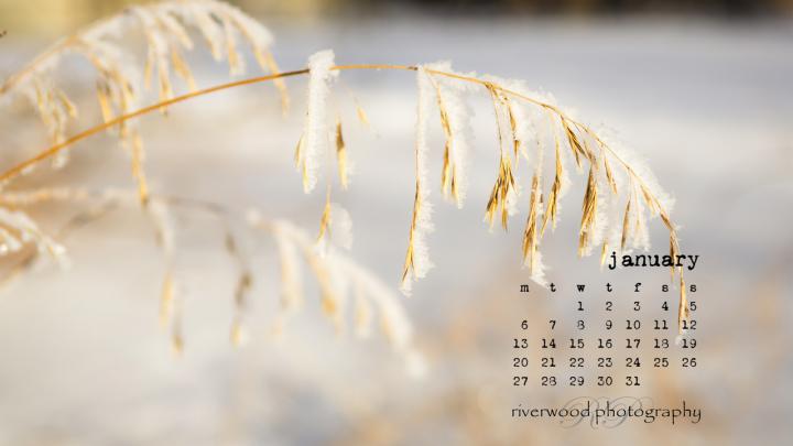 Free Desktop Wallpaper for January 2014 | 403-615-3708 | Riverwood 