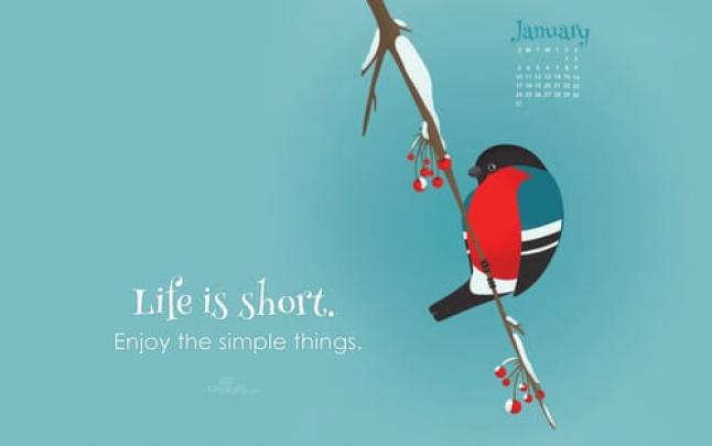 Beautiful January Desktop \u0026 Mobile Wallpaper - Free Backgrounds