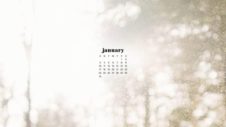 Desktop Wallpaper Aesthetic January 2021 - img-jiggly