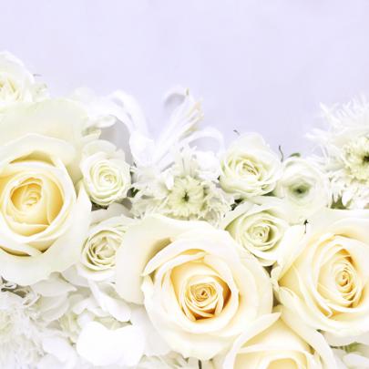 DIGITAL BLOOMS JANUARY 2017 | FREE DESKTOP WALLPAPERS - JustineCelina