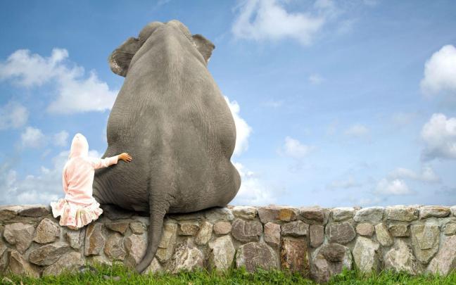 Elephant Desktop Wallpapers