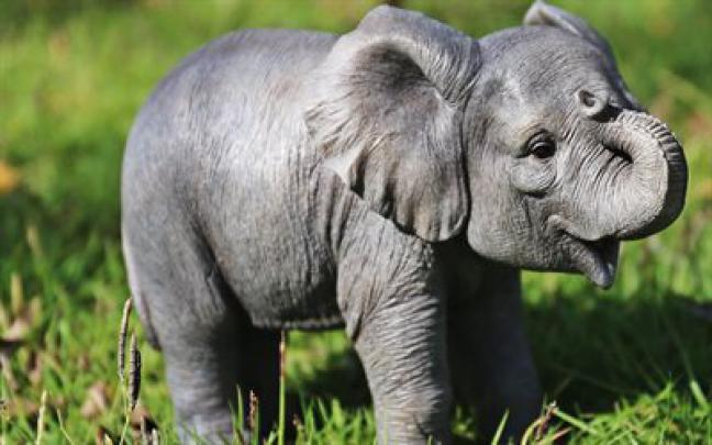 Download wallpapers little baby elephant, newborn elephant, cute little 