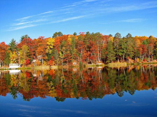 Fall Foliage Wallpapers HD - 
