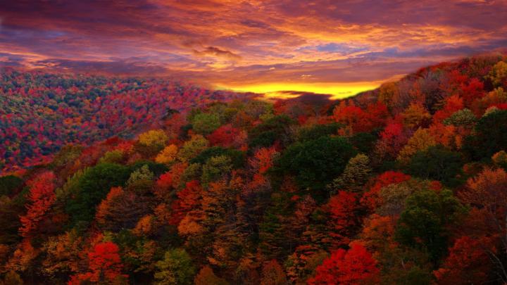 Fall Foliage Wallpaper for Desktop \u00b7\u2460 