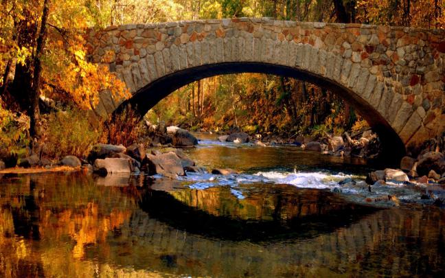 Fall Foliage Wallpapers HD