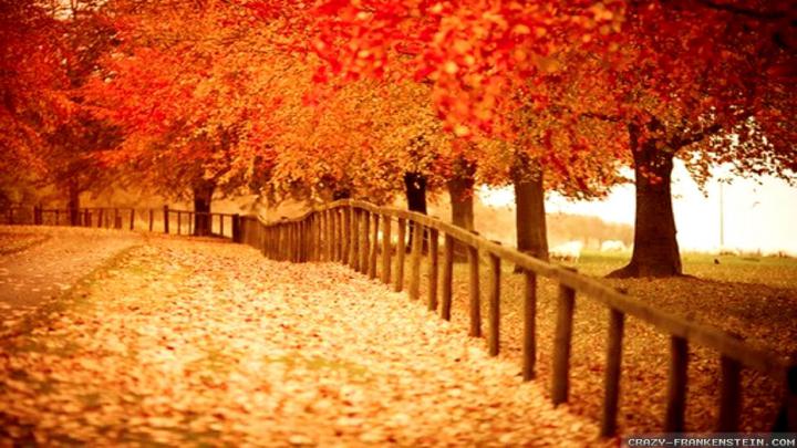 Autumn Pictures for Desktop Backgrounds \u00b7\u2460 