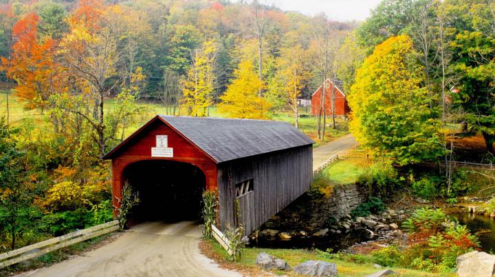 [77+] Free Fall Foliage Wallpaper 
