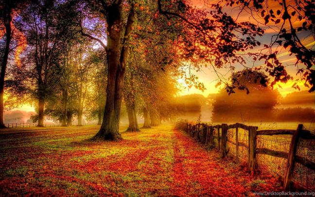 Fall Foliage Wallpapers for Desktop (66+ background pictures)