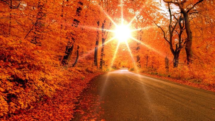 Free Fall Screensavers and Wallpaper -