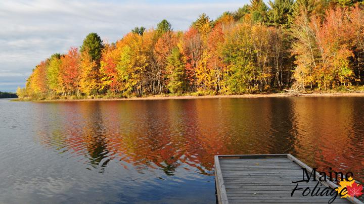 MaineFoliage.com: Photo Gallery: Foliage Wallpaper