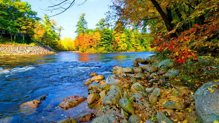 Beautiful Colorful Autumn River Foliage HD Nature Wallpapers | HD 