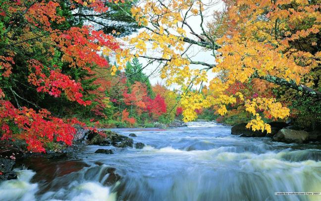 Fall Foliage Wallpapers For Desktop