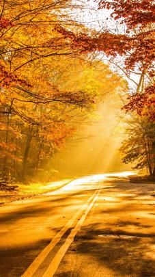 Fall Foliage Wallpapers for Desktop (66+ background pictures)
