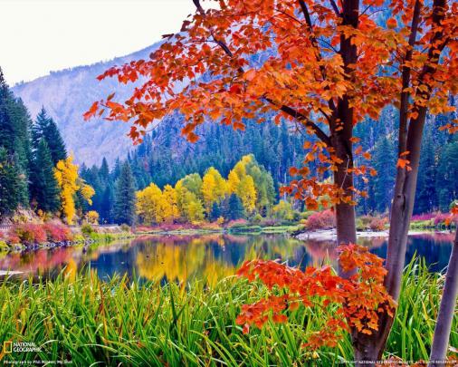 Fall Foliage Desktop Wallpapers