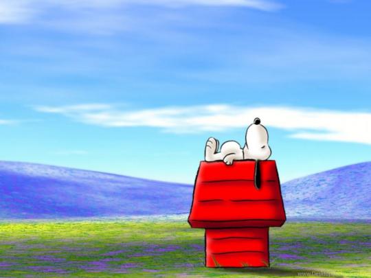 Snoopy Wallpapers Pictures 34 HD Wallpaper Backgrounds Desktop Background