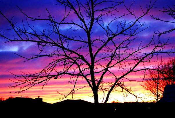 Free Computer Screensavers and Wallpaper -