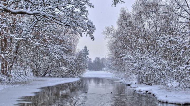Winter Scene Desktop Background (51+ pictures)