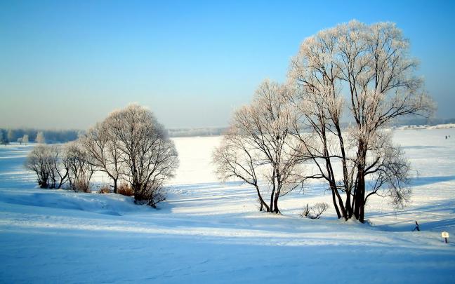 Wallpaper Desktop Winter Scenes (53+ images)
