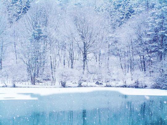 Winter Scene Wallpaper Free -