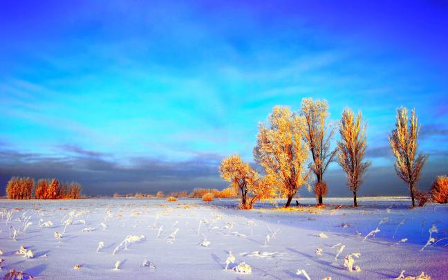 Winter Wallpapers Scenes