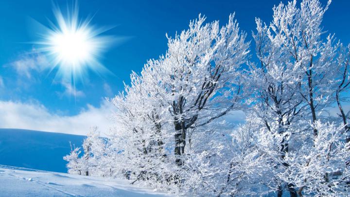 Christmas Winter Scenes Wallpaper \u00b7\u2460 
