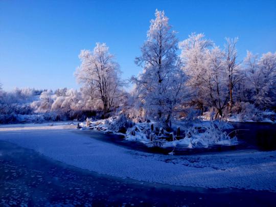 Desktop Wallpapers Winter Scenes (61+ background pictures)