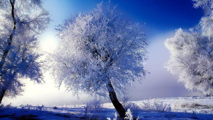 Winter Scene Desktop Background (56+ images)