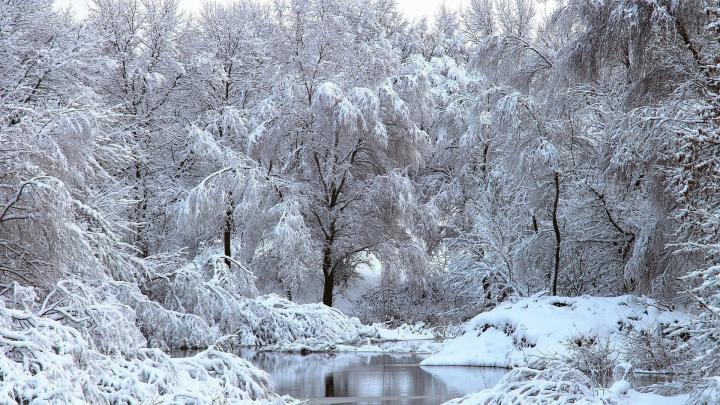 Snowy Winter Scenes Wallpaper (44+ images)