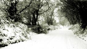 Free Wallpaper Desktop Winter Scenes