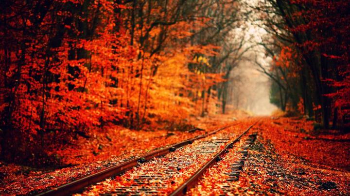 Dual Monitor Autumn Wallpapers - Top Free Dual Monitor Autumn 