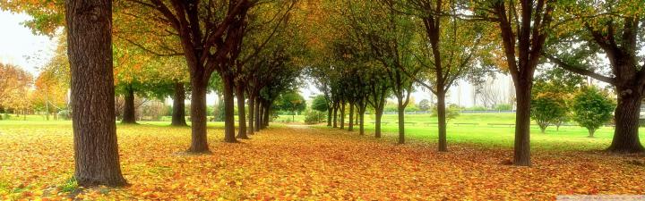 Dual Monitor Autumn Wallpapers - Top Free Dual Monitor Autumn 