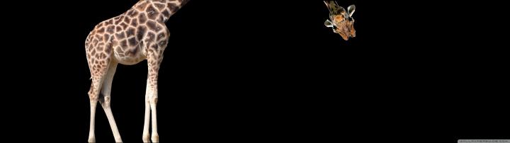 3840x1080 Dual Monitor Wallpaper (55+ images)