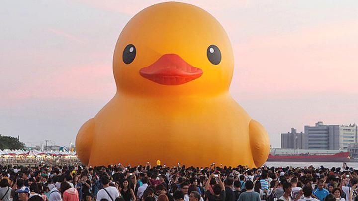 Free download Giant Rubber Ducky Wallpaper Images Pictures Becuo 
