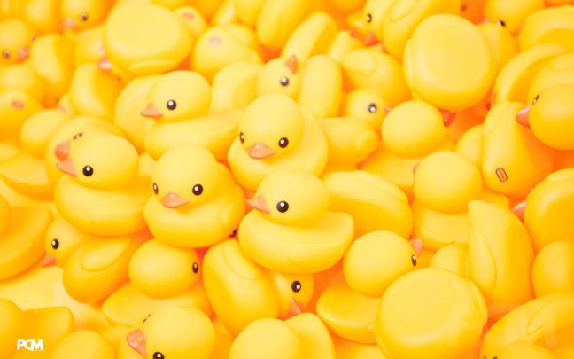 Rubber Duck Wallpaper -